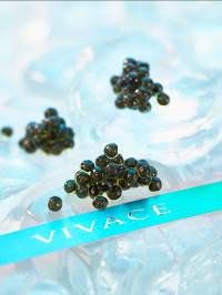 Vivace Correct Caviar - Kaviar ohne Blutvergießen - Forscherin lässt Störe leben caviar_ard Vivace Correct Caviar - Kaviar ohne Blutvergießen - Forscherin lässt Störe leben