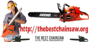 Best-Chainsaw-300x143 Tips about How to Purchase a Chainsaw