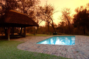 Indlovu-River-Lodge_Shawu-Pool-mmk-300x200 Abenteurer und Tierliebhaber auf nach Afrika in die Three Cities Indlovu River Lodge!