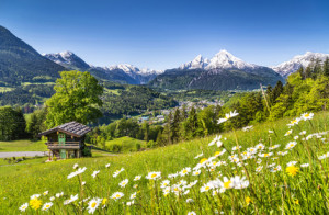 dp_blog_14_09_29_bayern2-300x196 .bayern-Domain erfolgreich gestartet - Eine Domain für alle Bajuwaren