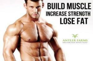 Body-300x196 Guide to Bodybuilding Supplements for Quick Muscle Build Up
