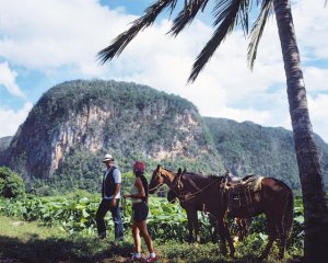 Südamerika Reiseportal empfiehlt Kuba als Traumurlaubsziel - Alternativen zum Strandurlaub Bergwelt_Kubas_Cubanisches-Fremdenverkehrsamt-300x240 Südamerika Reiseportal empfiehlt Kuba als Traumurlaubsziel - Alternativen zum Strandurlaub