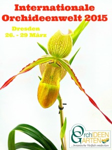 Ankuendigung-Internationale-Orchideenwelt-Orchideengarten-Karge-800-225x300 Orchideenkönigin hält Hof auf der Internationalen Orchideenwelt 2015 in Dresden