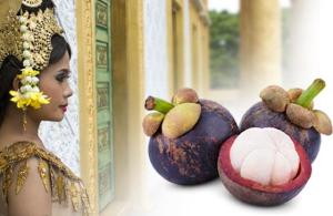 Garcinia-cambogia-Dr.-Giorgini-300x195 Garcinia Cambogia, die Verbündete des Idealgewichts