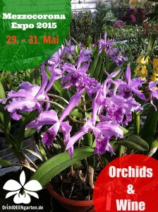 Mezzocorona Expro - Orchids&Wine - Orchideengarten Karge Mezzocorona-2-Orchideengarten-Karge-224x300 Mezzocorona Expro - Orchids&Wine - Orchideengarten Karge