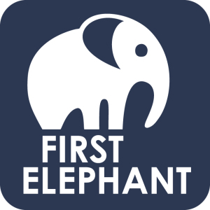 FE_logo_dunkelblau-weiss_150dpi-300x300 Freiraum24 ist Partner der First Elephant Self Storage Group 