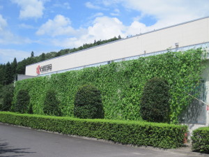Green-Curtains-Kyocera-Gebäude-300x225 Kyocera pflanzt „Green Curtains“ zur Reduzierung von CO2 und Energieverbrauch