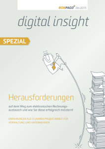 Beratungshaus Bonpago fasst Erfahrungen mit elektronischem Rechnungsaustausch in Broschüre zusammen Herausforderungenweb-212x300 Beratungshaus Bonpago fasst Erfahrungen mit elektronischem Rechnungsaustausch in Broschüre zusammen