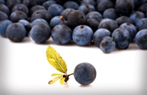 Acai-Beeren-Dr.-Giorgini-300x195 Alle Eigenschaften der Acai-Beeren