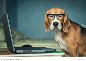 Dokumentenmanagement aus Bayern– Software statt Papierberge! Fotolia_61373697_S_copyright-300x214 Dokumentenmanagement aus Bayern– Software statt Papierberge!