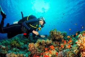 ERV_©iStock.comultramarinfoto_Vladan_Milisavljevic_web-300x200  Vom Beach Boy Surfing und anderen Trendsportarten -  Tipps und Tricks für Aktivurlauber