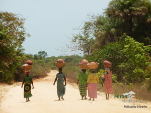 Guinea-Bissau-Circuit-Elia-PRIORI-Afrika-Reisen-300x225 Guinea Bissau - einzigartige Reisen durch das vielseitige Land