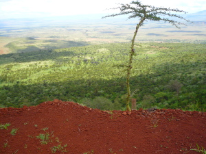 Afrika-rote-Erde-grünes-Land-in-Kenia-300x225 In Afrika innovativ unterwegs 
