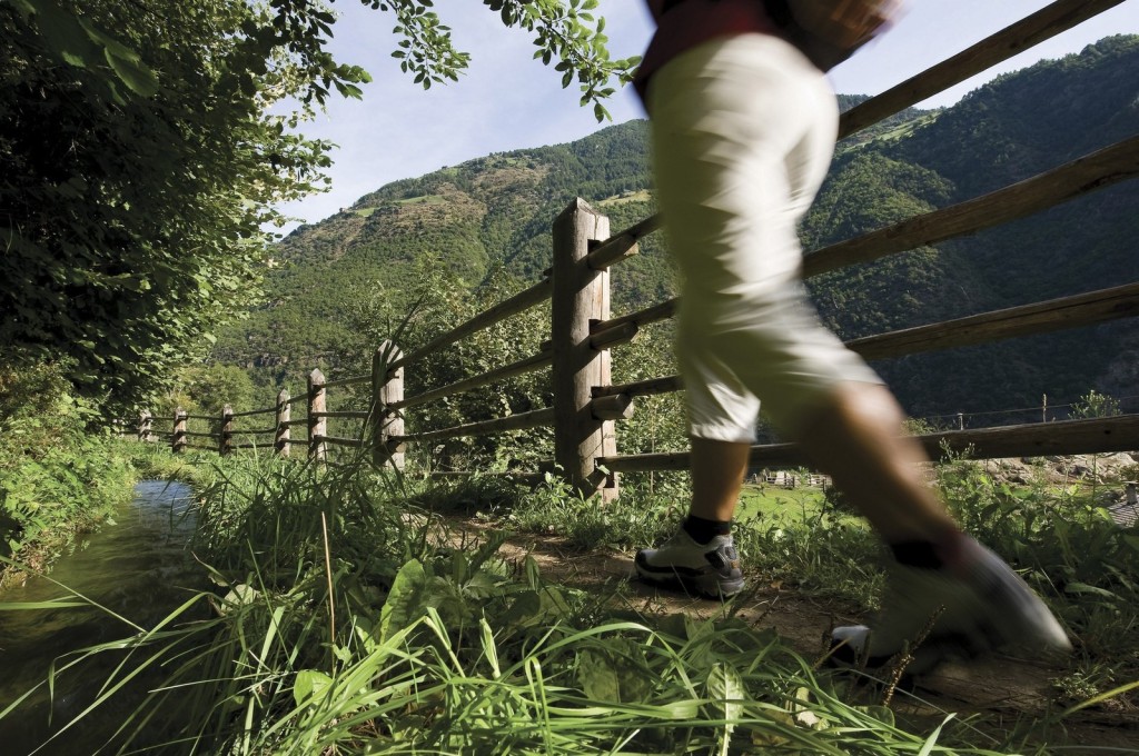 Für Freizeitläufer und Aktive: Laufwoche mit 7-fach Masters-Weltmeister Albert Rungger laufwoche-suedtirol-tschoegglberg-albert-rungger-1024x680 Für Freizeitläufer und Aktive: Laufwoche mit 7-fach Masters-Weltmeister Albert Rungger