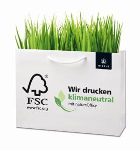 Riedle_Taschen_klimaneutral_FSC_online-279x300 EU-Richtlinie zur Vermeidung von Plastiktüten seit 1. Oktober in Kraft - Spezialist für Papiertragetaschen RIEDLE bietet Lösung an