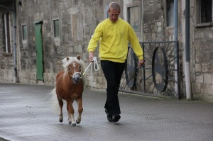 SpenderJensAlthausShettysDelliehausen09-2015-300x199 Ponyzüchter ist Glücksbringer für leukämiekranke Frau