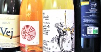 Enrico Bachechi startet Vinifero Pop-up Shop in Wien mit besten Naturweinen aus Italien Vinifero_Naturweine-aus-Italien_onlinePR Enrico Bachechi startet Vinifero Pop-up Shop in Wien mit besten Naturweinen aus Italien