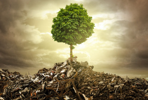 Baufritz-300x203 Belastet die neue EnEV den Klimaschutz?