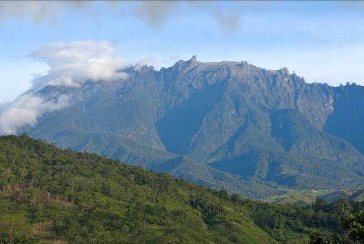 Mount-Kinabalu Da steppt der Malaeienbär - Mount Kinabalu wieder offen