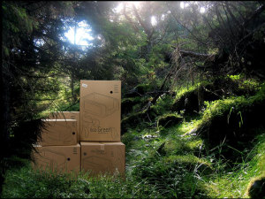 Die neu entwickelte Verpackung für die FAMI Eco-Green Linie: 100% umweltfreundlich ecogreen-1CASE_HISTORY_INAR-300x225 Die neu entwickelte Verpackung für die FAMI Eco-Green Linie: 100% umweltfreundlich