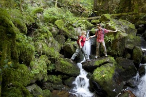 ID_1736_Emmler-_MG_3275_klein-300x200 Wanderopening im ZweiTälerLand - die erste Qualitätsregion Baden-Württembergs