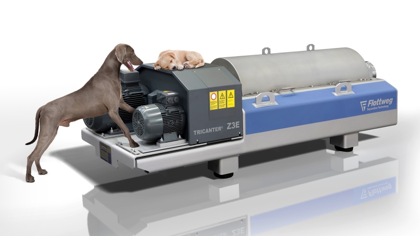 Z3E_mit-Hunden-822X462
