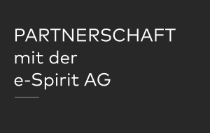 Partnerschaft-mit-e-spirit-AG-05-300x191 BOLDLY GO INDUSTRIES und e-Spirit vereinbaren Partnerschaft
