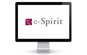 e-Spirit-plane-weiß-Webseite-08-300x191 BOLDLY GO INDUSTRIES und e-Spirit vereinbaren Partnerschaft