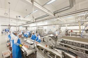 c300baa38f-300x199 Glamox erhält IFS-Zertifizierung