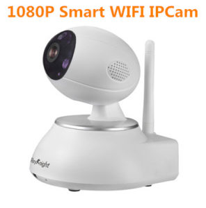IP101DH-wifi-cam-296x300 1080P Smart WIFI P2P Camera