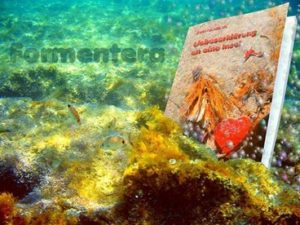 GefuehltesErlebtes-300x225 Gefühltes und Erlebtes