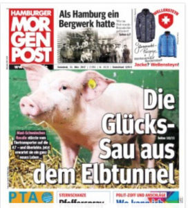 Ferkel-Rosalie3-272x300 Glück gehabt: Ferkel Rosalie purzelt vom Wagen und entging so dem Schlachter