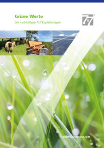 Mit grünen Werten in den Frühling Gruene_Werte_Titel-212x300 Mit grünen Werten in den Frühling
