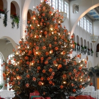 dts_image_2227_ftbpeebbpt Umfrage: Weihnachtsfreude in Ostdeutschland weiter verbeitet als im Westen