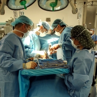 dts_image_3484_cgjnogfnjc Organspendebereitschaft geht massiv zurück