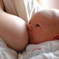 Studie: Grund für männliche Brustfixierung liegt in der frühen Babyphase dts_image_3606_higjmnhrbh Studie: Grund für männliche Brustfixierung liegt in der frühen Babyphase