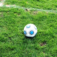 2. Bundesliga: Braunschweig und Hertha trennen sich 1:1 dts_image_864_jcmqmtadfh 2. Bundesliga: Braunschweig und Hertha trennen sich 1:1