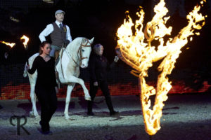 Working Equitation Highlights auf der EQUITANA 2017 - Signum Sattelservice Signum-Sattelservice-Equitana2017-300x200 Working Equitation Highlights auf der EQUITANA 2017 - Signum Sattelservice