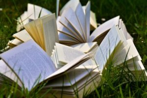 Was-Buch-300x200 Was ist das perfekte Buch?