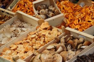 DerMenschSteinzeitPilze-300x200 Der Mensch hat sich schon in der Steinzeit von Pilzen ernährt