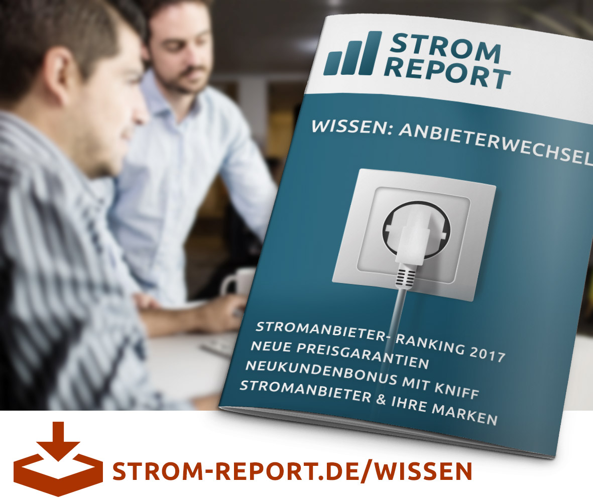 Strom Report Ratgeber Energie