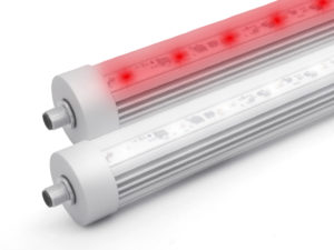 Nächste Evolutionsstufe erreicht: LED-Industrieleuchten mit Bi- und Multi-Color-Funktionen. DIANA-LEDscale-Rohrleuchte-D45-Multi-Color-300x225 Nächste Evolutionsstufe erreicht: LED-Industrieleuchten mit Bi- und Multi-Color-Funktionen.