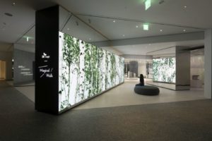 Bring Magic to Life - D’art Design Seoul Develops Brand Gallery for all the Senses Forest-Zone-1N3A3143-1-300x200 Bring Magic to Life - D’art Design Seoul Develops Brand Gallery for all the Senses