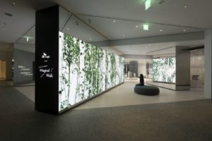 Forest-Zone-1N3A3143-1-300x200 Bring Magic to Life - D’art Design Seoul Develops Brand Gallery for all the Senses