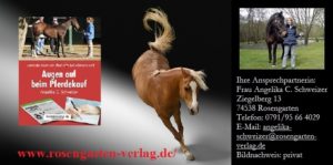 131.Bild_..PFERD_.Bild-Kopie-300x149 Das malende Pferd