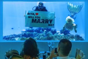 M6m_OZEN_Will-you-marry-me_web-groß-300x203 M6m_OZEN_Will you marry me_web groß