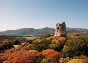 Sardinien setzt Segel Nuraghe©RegionSardinien-300x214 Sardinien setzt Segel