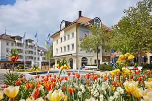 Tulpenblüte ©Kur- und Tourismusbetrieb Bad Wörishofen