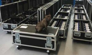 LITECTAFT_u_motions_web-300x180 u-motions entscheidet sich für LITECRAFT