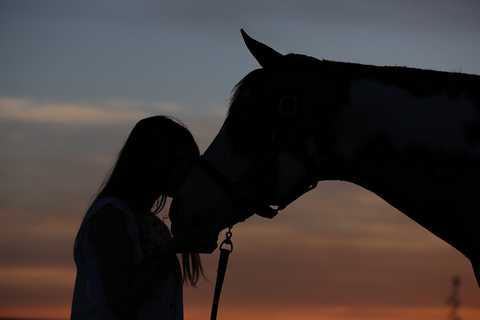 Mensch Und Pferd Gemischt